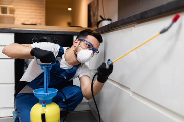 Best Commercial Pest Control Services  in Rancho Mirage, CA