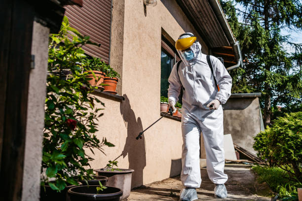 Best Pest Prevention Services  in Rancho Mirage, CA