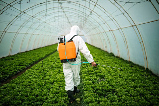 Best Pest Control Near Me  in Rancho Mirage, CA