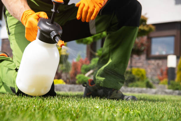 Reliable Rancho Mirage, CA Pest Control Solutions